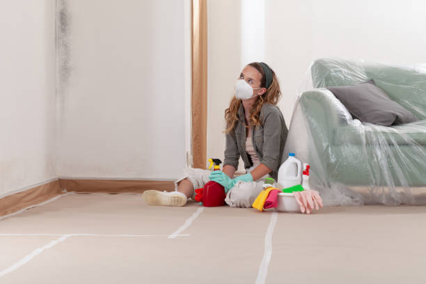 Trusted Mold Inspection service in Hudson, IL - Cheap Mold Removal